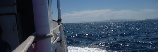 AllAboutBaja Profile Banner