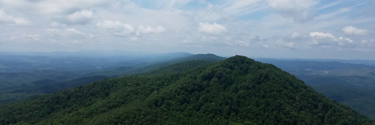 chelyendavis's profile banner image