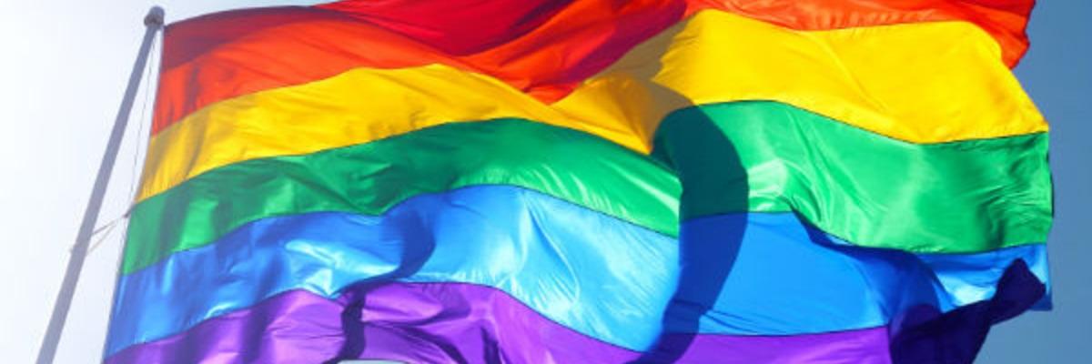 supportgayweed's profile banner image