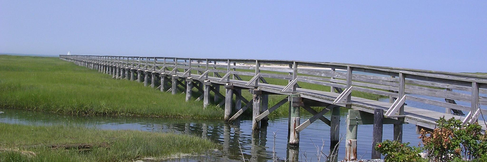 BSUCapeCod's profile banner image