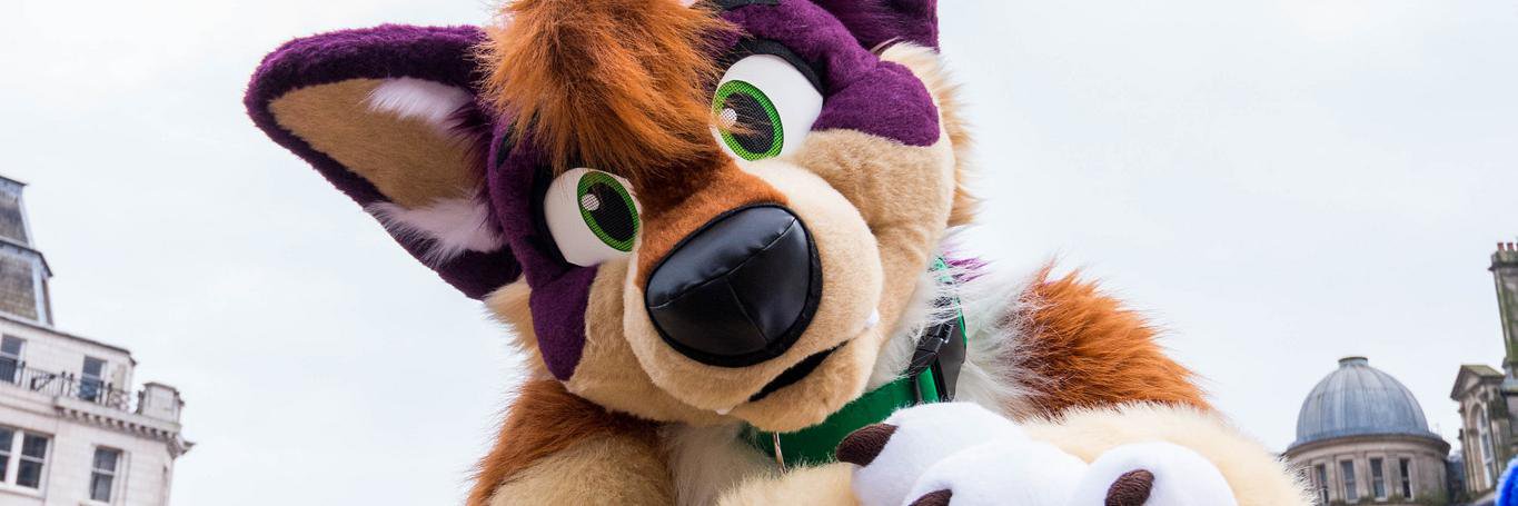 BaileyCorgi's profile banner image
