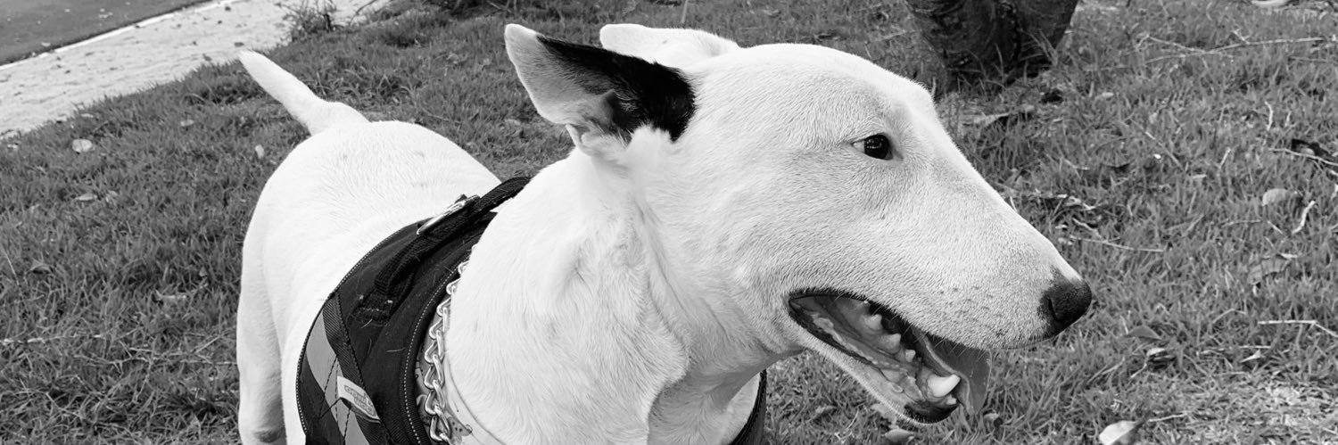joaotsi's profile banner image