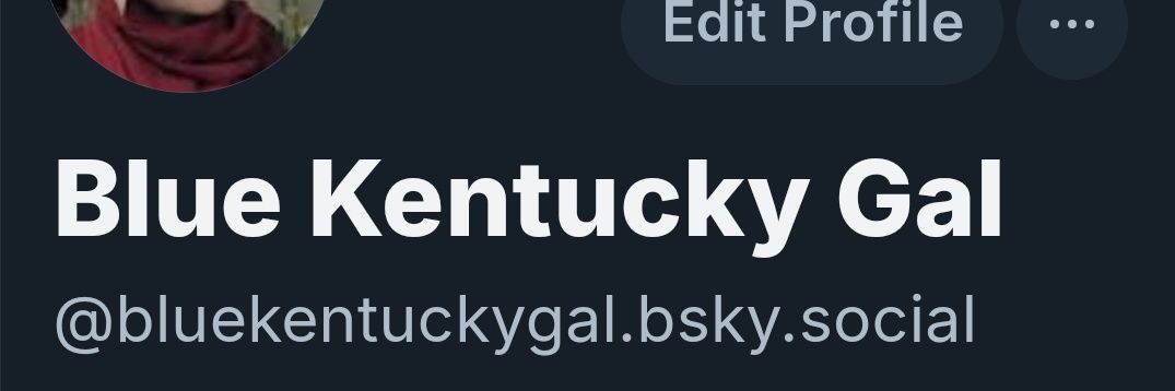 Blue Kentucky Gal banner