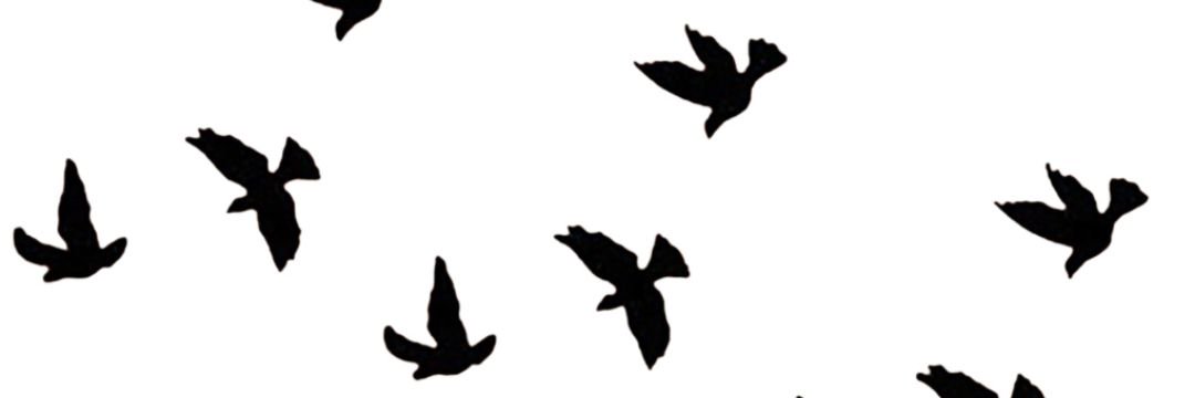 luuLauraluu's profile banner image