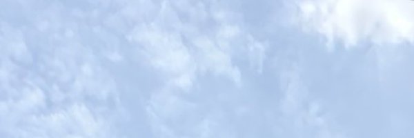 zenikora Profile Banner