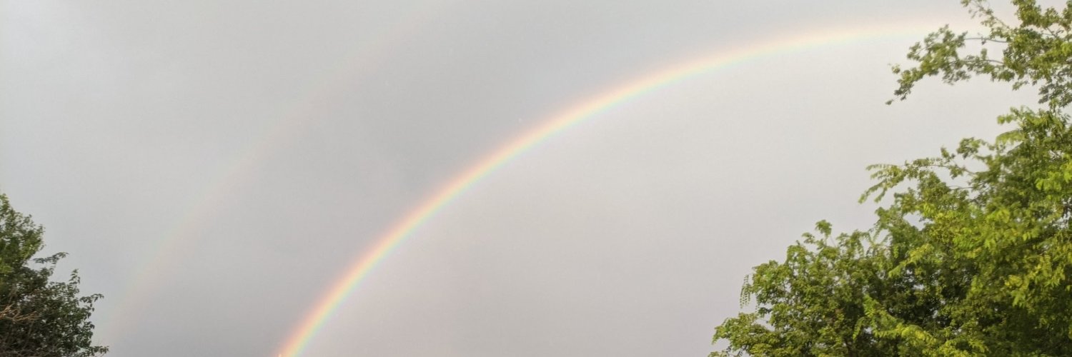 LisaLK79's profile banner image