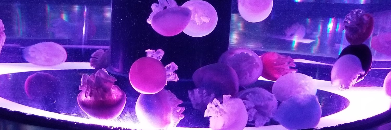 lmgongon's profile banner image