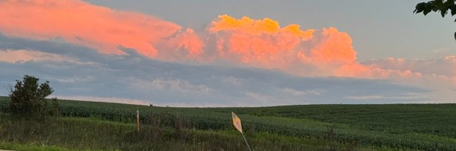 DistrictHawk's profile banner image