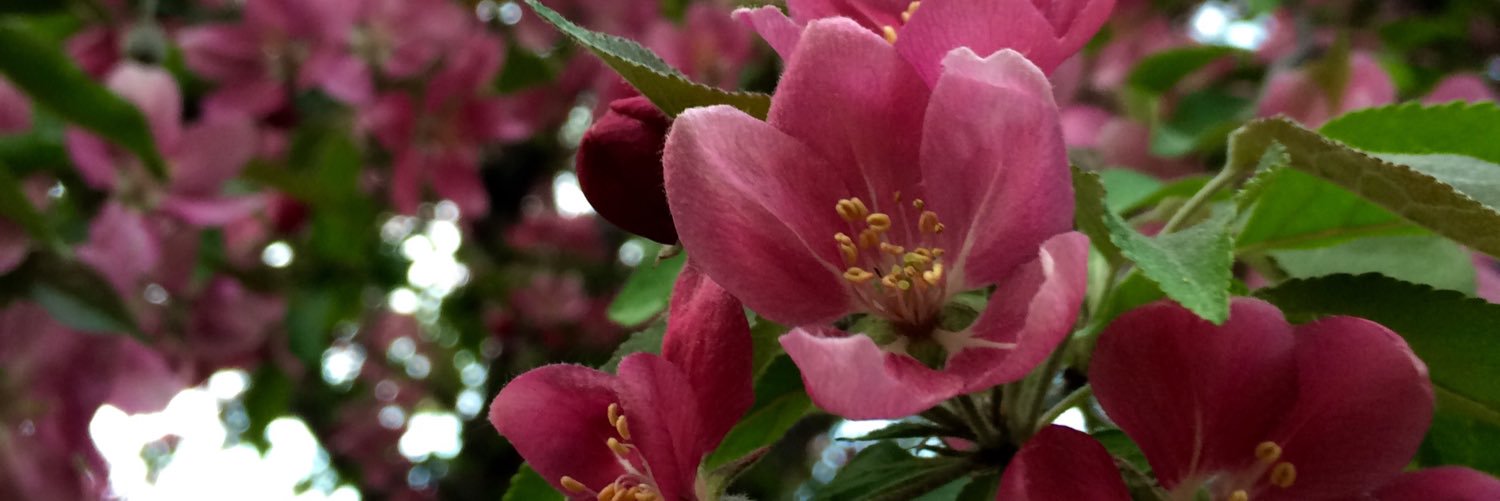 Emily_Mayhew7's profile banner image