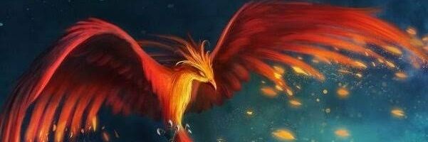 AVE FENIX banner