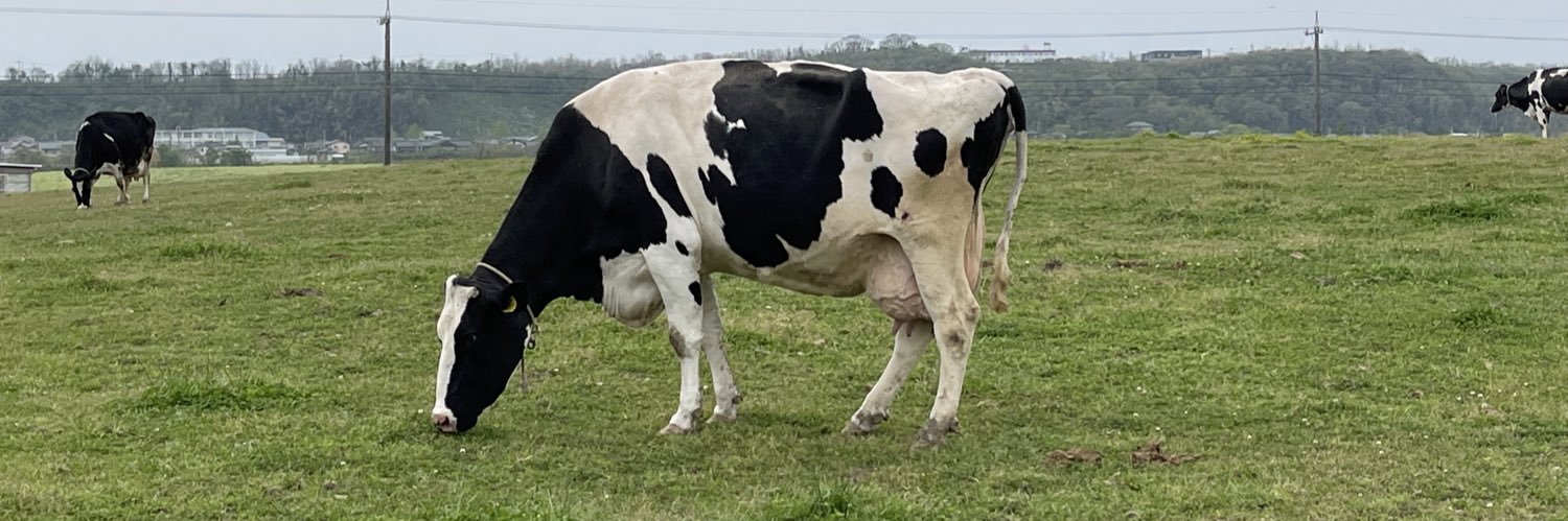 犀藤菜穂 🐑 Saito Naho banner