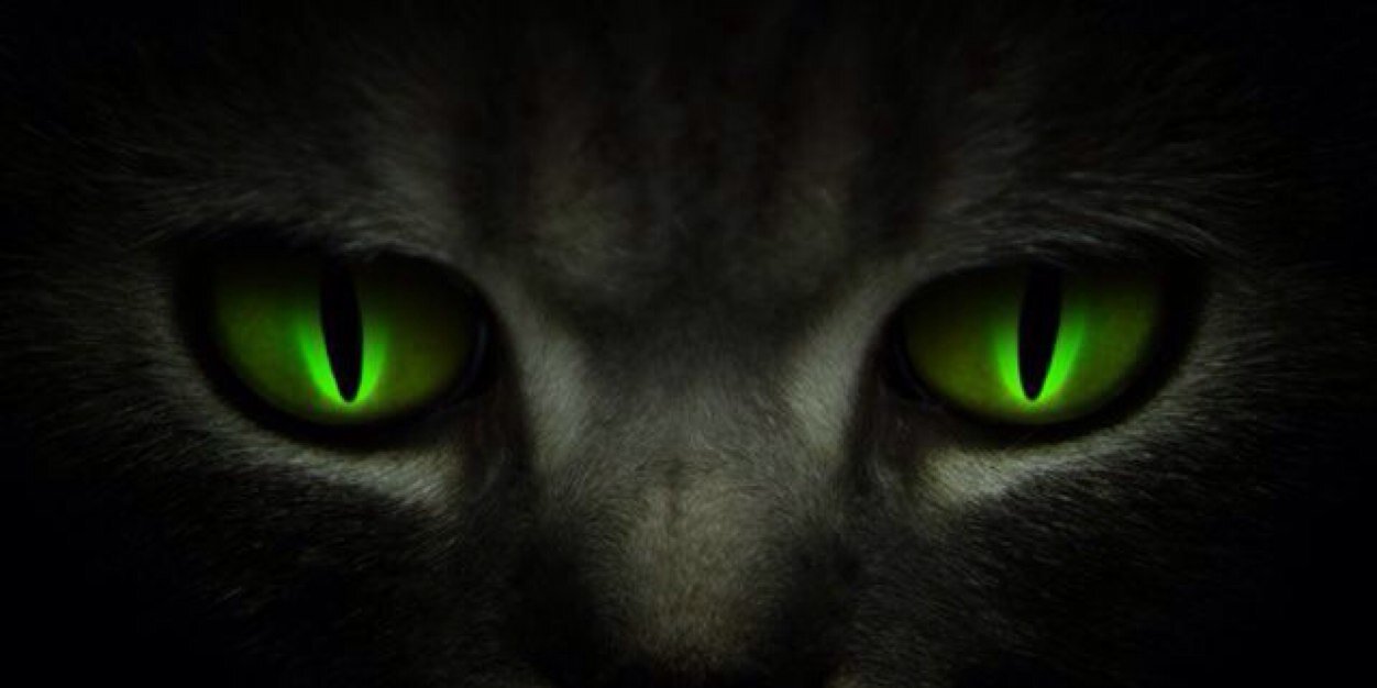 d_muny's profile banner image