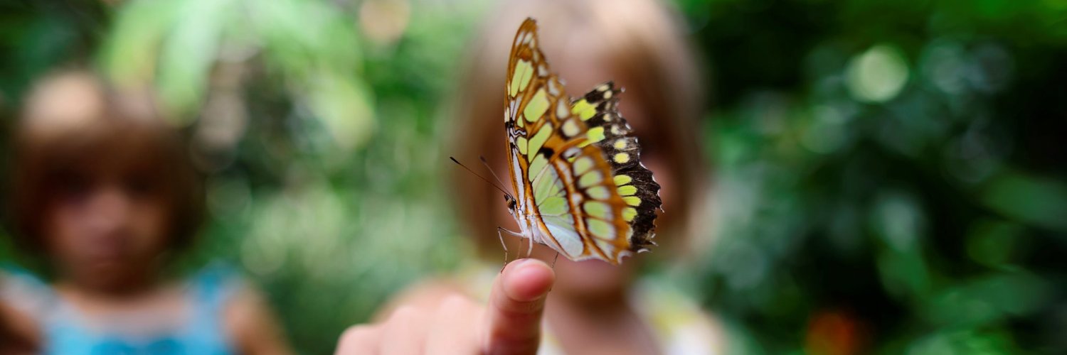 Elizabeth Tchoungui banner