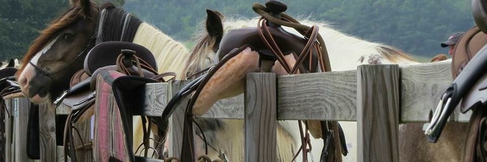 LeadByTheReins's profile banner image