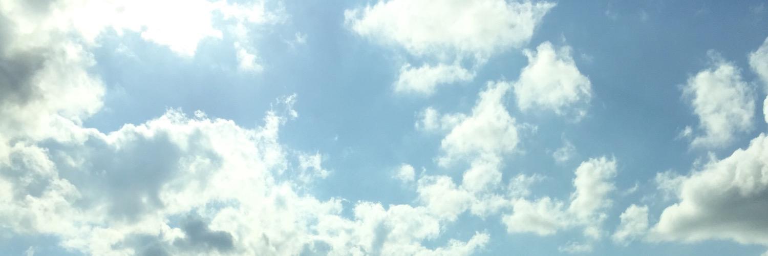MitchellDespot's profile banner image