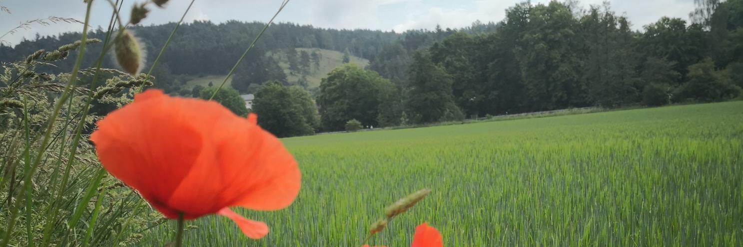 d0m89's profile banner image