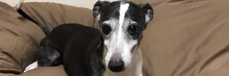 o7o2615's profile banner image