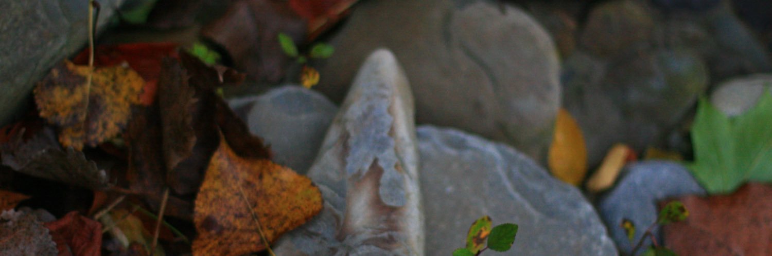 Haegi74's profile banner image