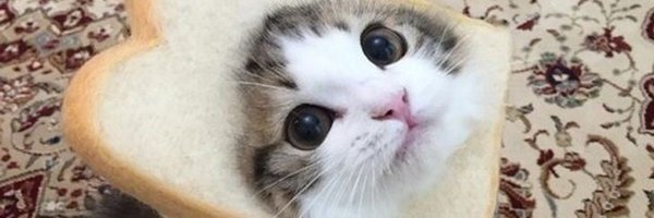 YouTuron Profile Banner