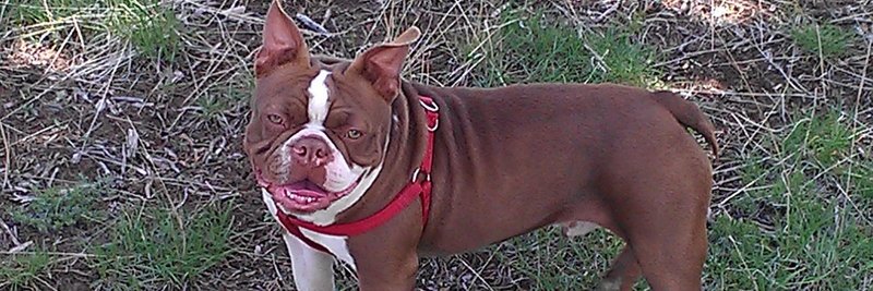 Markella_M's profile banner image