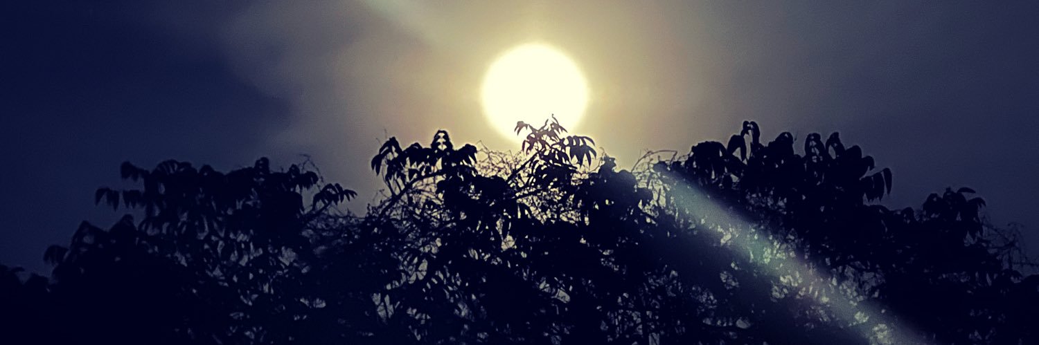 José Pablo Arango banner