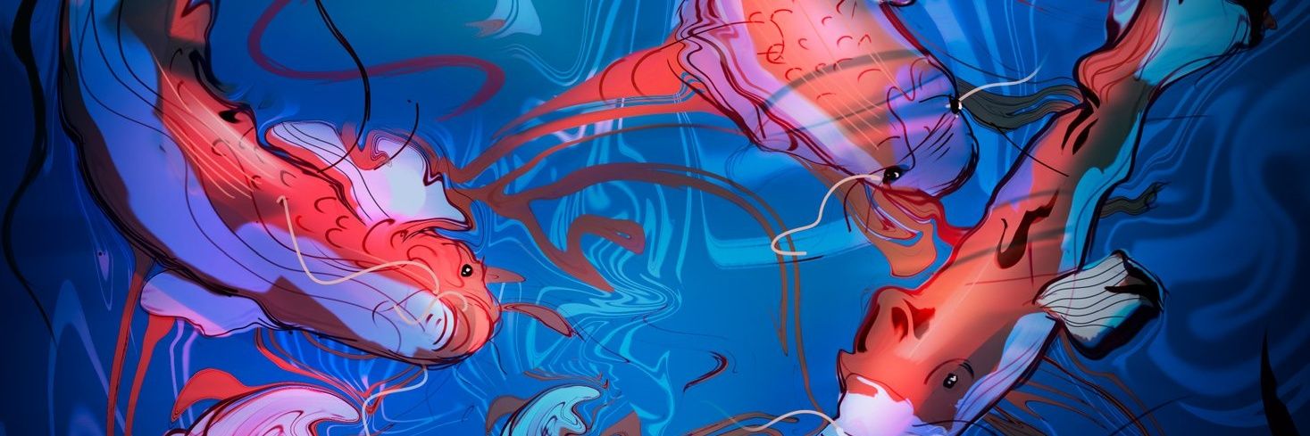 Vitequin's profile banner image