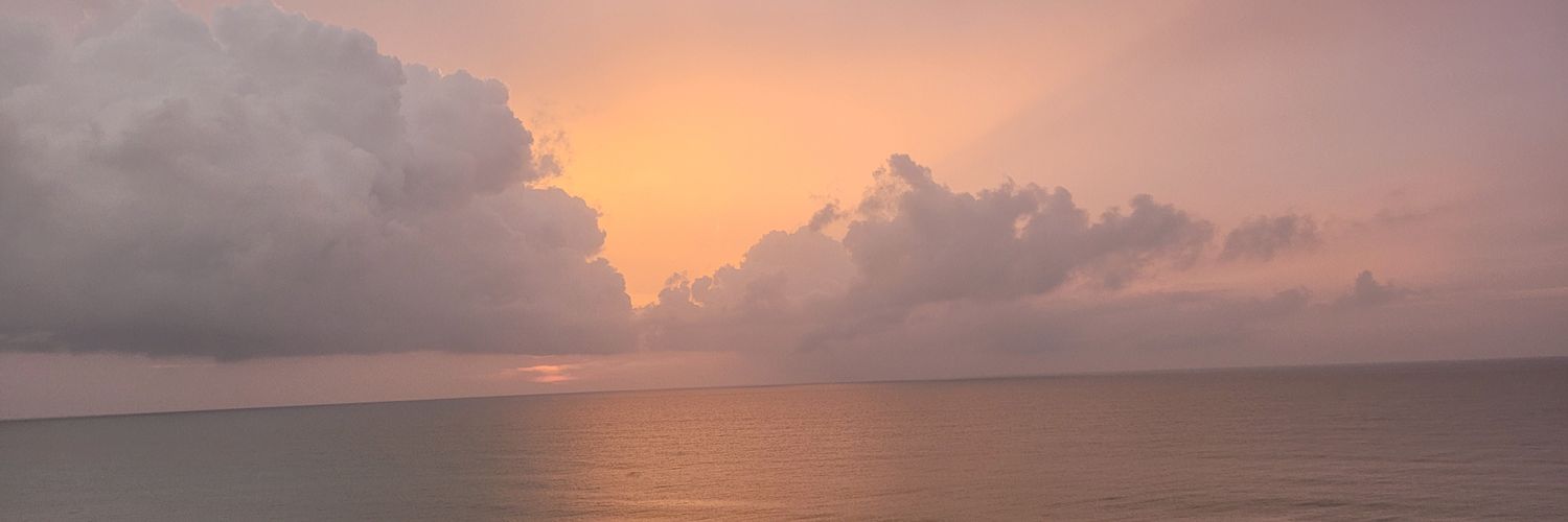 Alelicasu's profile banner image