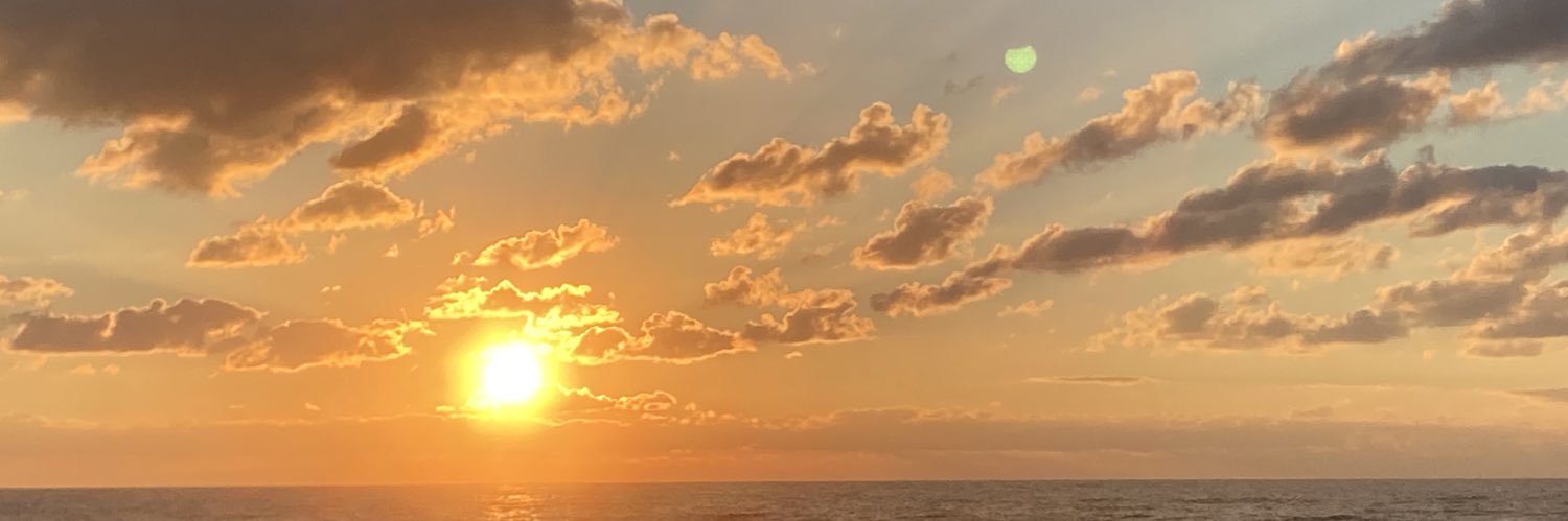Nuclearrizz's profile banner image