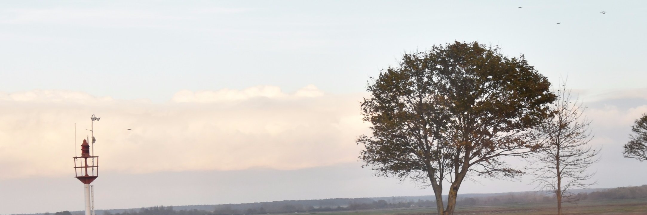 ∫Simperfit{☮} banner