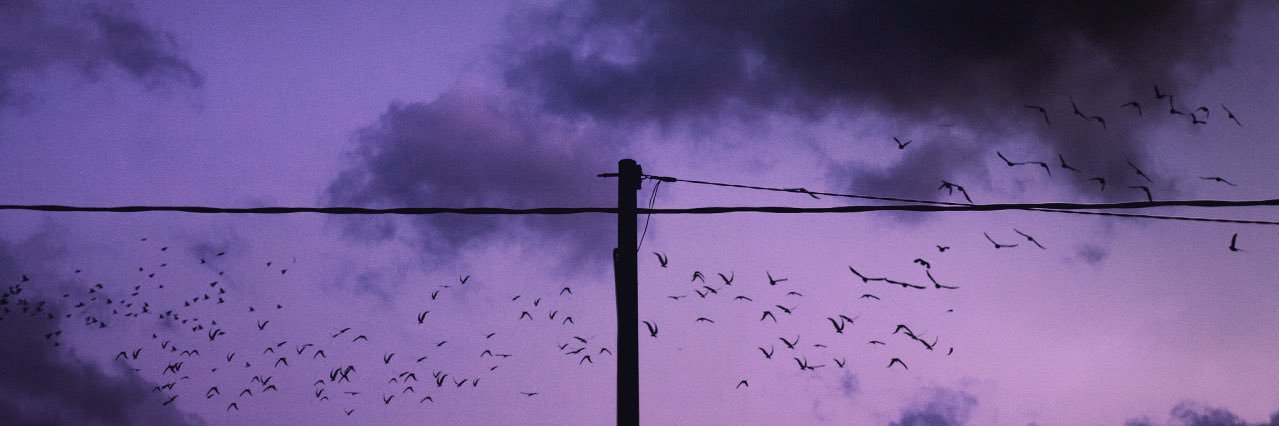 joannabarks's profile banner image