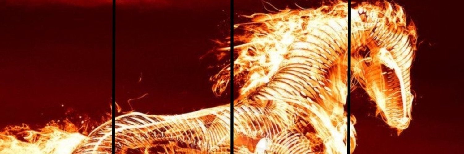 Primewire01's profile banner image