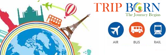 tripborn's profile banner image