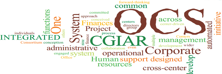 OCS_CGIAR's profile banner image
