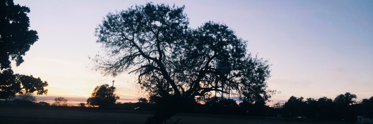 xHeyyImKat's profile banner image