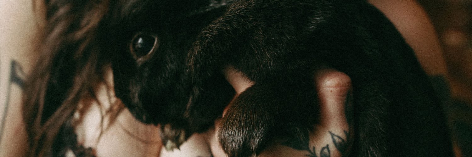 tattoorabbit666's profile banner image