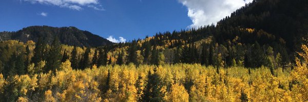 PhilipFavro Profile Banner