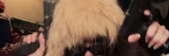 jbaudroux's profile banner image