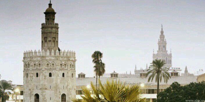 CarlosAljg's profile banner image