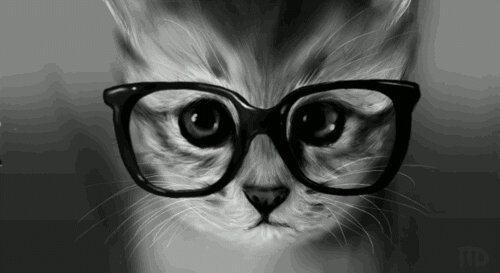 NerdTENT's profile banner image