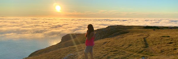 MSush28 Profile Banner