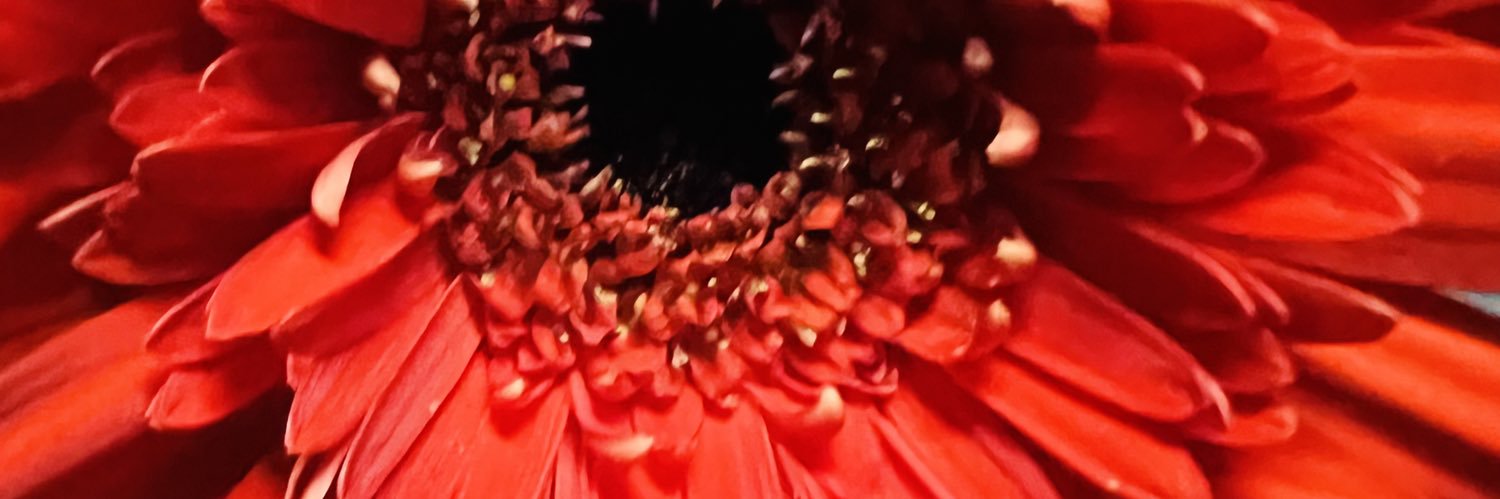 AdAhmadibrahim's profile banner image