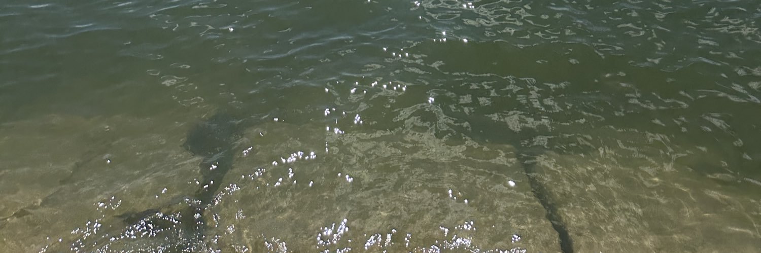 tayfetti_'s profile banner image