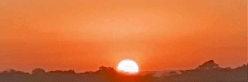 oliveira_moniii's profile banner image