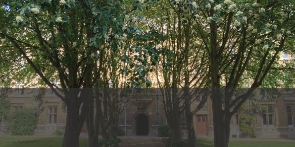 Noah Isserman banner