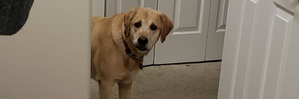 nv_quinn's profile banner image