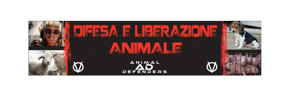 AD_ADefenders's profile banner image
