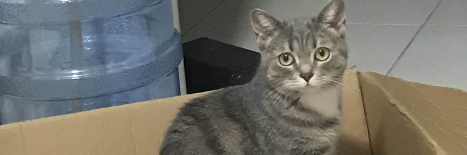ayswnur61's profile banner image