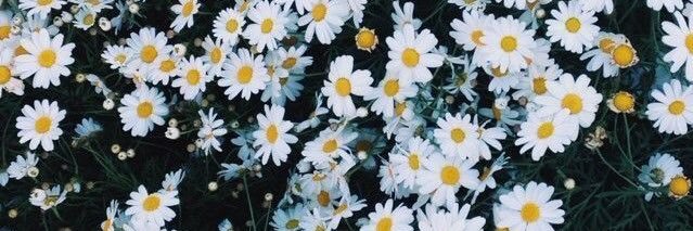 Eliske_'s profile banner image