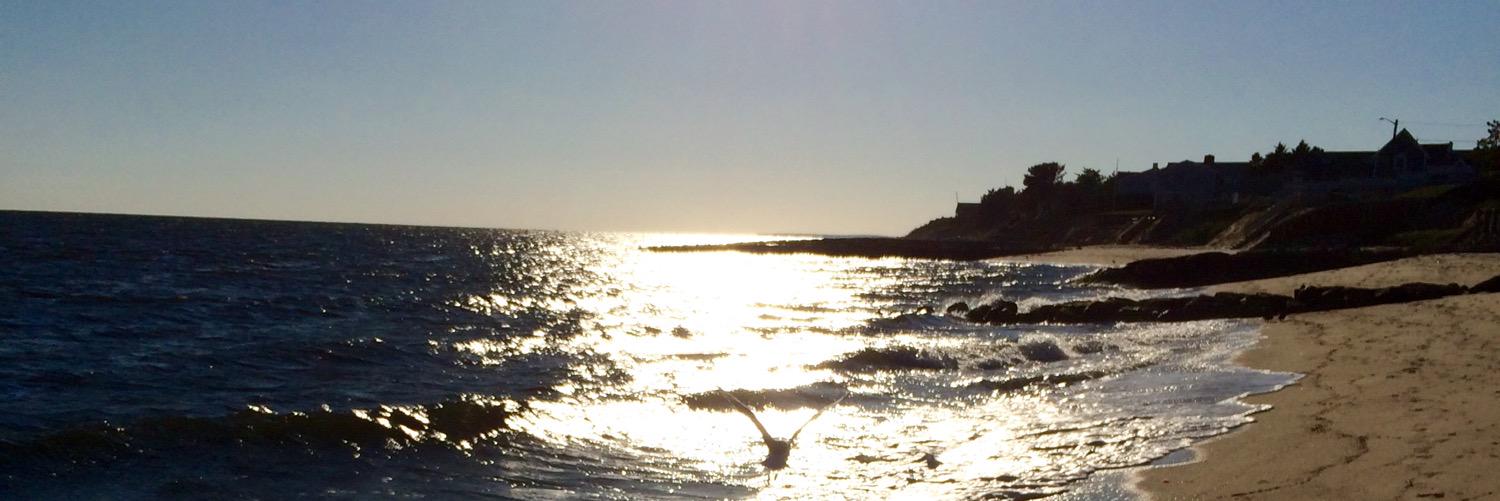 Ciorsti MacIntyre banner