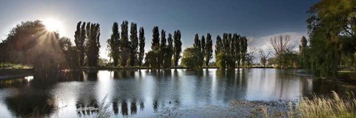 DaniloSinibaldi's profile banner image